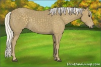 Horse Color:Silver Smoky Black 