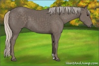 Horse Color:Silver Black 