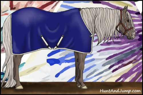 Horse Color:Silver Black 