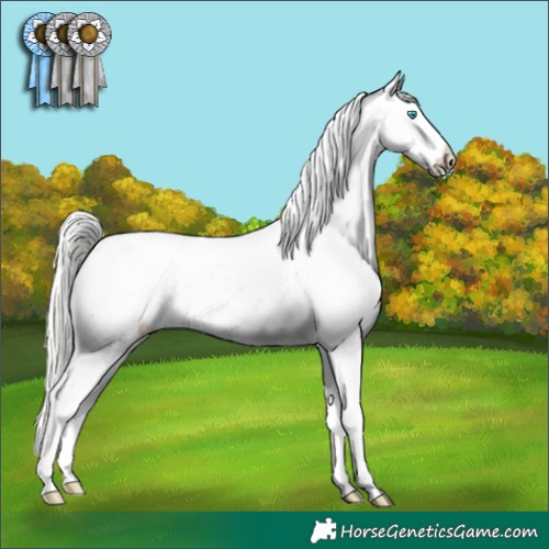 Horse Color:Cremello Appaloosa 