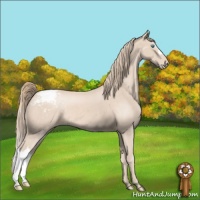 Horse Color:Perlino Snowcap 