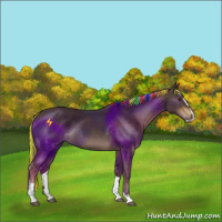 Horse Color:Painted Chocolate Palomino Sabino 