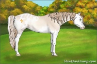 Horse Color:Perlino Roan Onyx Splash Blanket