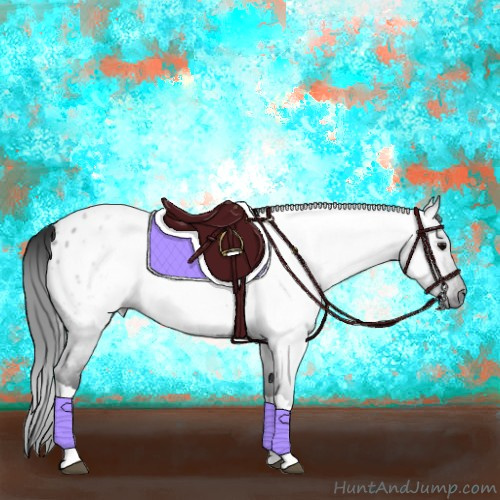 Horse Color:Gray Blue Roan Appaloosa