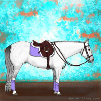 Horse Color:Gray Blue Roan Appaloosa 