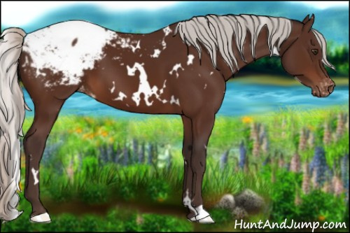 Horse Color:White Spotted Silver Brown Snowcap