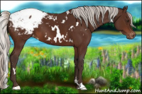 Horse Color:White Spotted Silver Brown Snowcap 