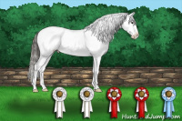 Horse Color:Buckskin Dun Snowflake Varnish