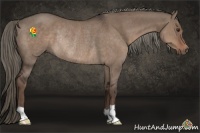 Horse Color:Liver Red Dun Rabicano 