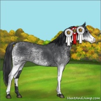 Horse Color:White Spotted Blue Roan 