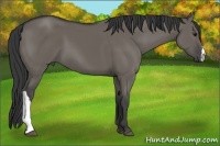 Horse Color:Smoky Grullo 