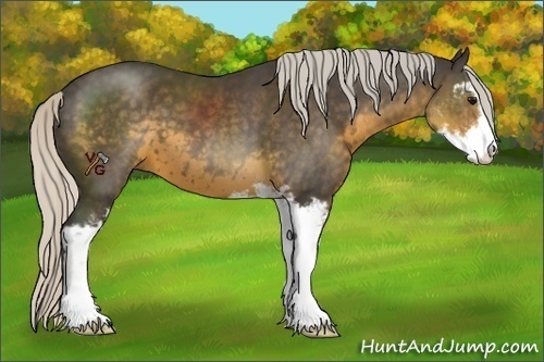 Horse Color:Silver Smoky Black Sabino 