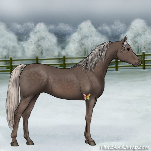 Horse Color:Silver Black 
