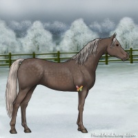 Horse Color:Silver Black 