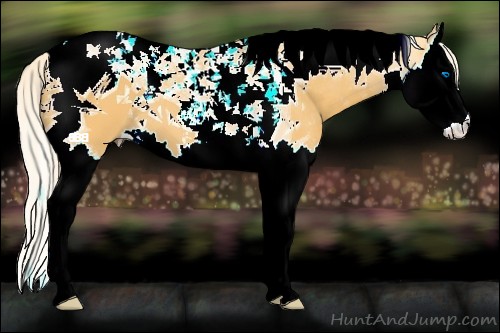 Horse Color:Palomino Splash Tobiano 