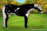 Horse Color:Chestnut Tobiano Frame