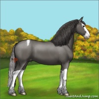 Horse Color:Platinum Grullo Splash Varnish