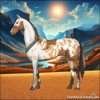 Horse Color:Buckskin Sabino Rabicano  and Buckskin Sabino Blanket Rabicano 
