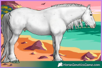 Horse Color:Black Sabino Rabicano 