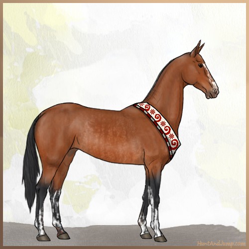 Horse Color:Bay Sabino Rabicano  and Bay Sabino Rabicano 