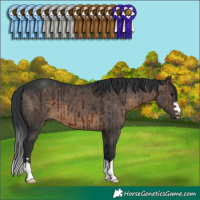 Horse Color:Brown Dun Brindle