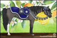 Horse Color:Grullo 