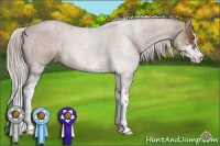 Horse Color:Silver Bay Roan Dun Sabino