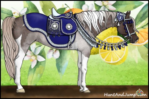 Horse Color:Silver Brown Roan Tobiano