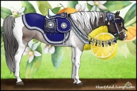 Horse Color:Buckskin Tobiano 