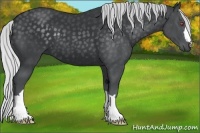 Horse Color:Silver Black Chinchilla 