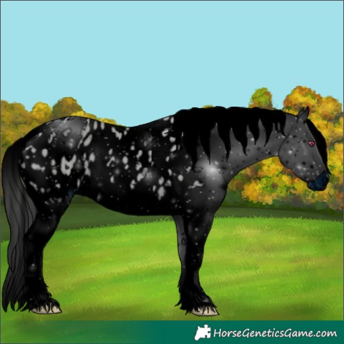 Horse Color:ERROR: UNKNOWN ANOMALY