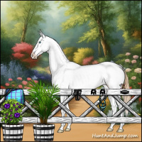 Horse Color:Smoky Black Pearl Sabino Appaloosa Rabicano 