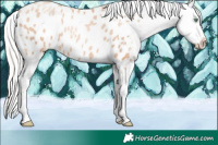 Horse Color:Silver Classic Champagne Pearl Tobiano Appaloosa