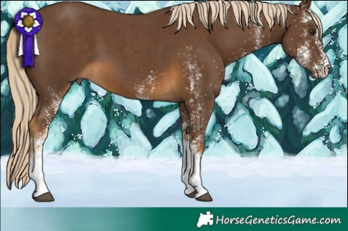 Horse Color:White Spotted Chocolate Palomino 