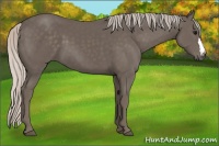 Horse Color:Silver Black 