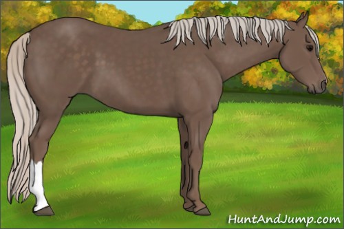 Horse Color:Silver Black 