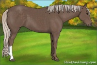 Horse Color:Silver Black 