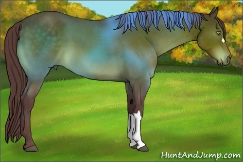 Horse Color:Chocolate Brown 