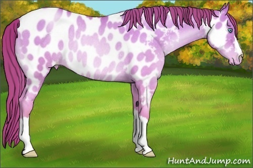 Horse Color:Chocolate Sable Champagne Pearl Dun Near Leopard Rabicano