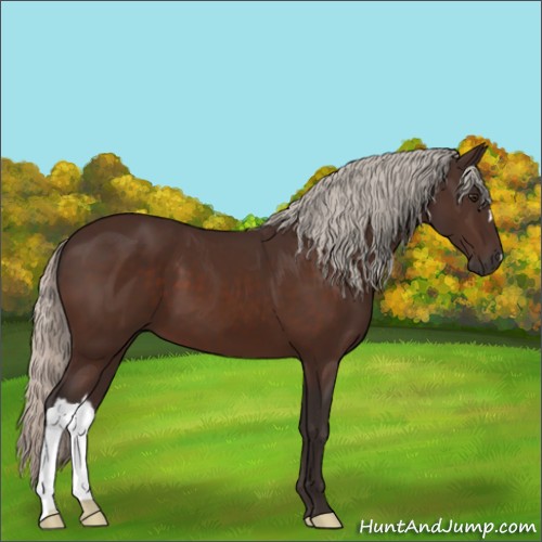 Horse Color:Silver Brown 