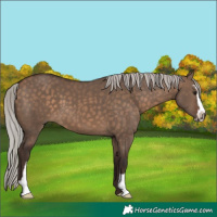Horse Color:Silver Brown Dun Sabino 