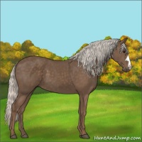 Horse Color:Silver Black 