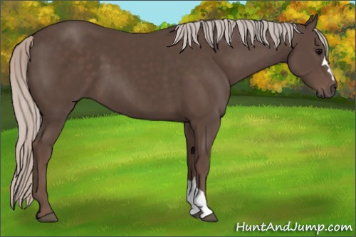 Horse Color:Silver Black 