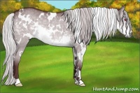 Horse Color:White Spotted Chocolate Silver Smoky Grullo Chinchilla 