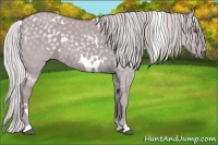 Horse Color:White Spotted Chocolate Silver Smoky Grullo Chinchilla
