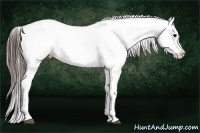 Horse Color:Brown Varnish Rabicano