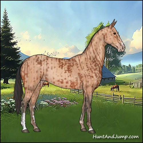 Horse Color:Bay Sabino Rabicano  and Amber Champagne Sabino Rabicano 