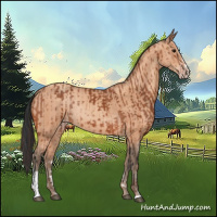 Horse Color:Bay Sabino Rabicano  and Amber Champagne Sabino Rabicano 