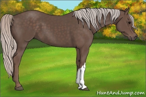 Horse Color:Silver Black 