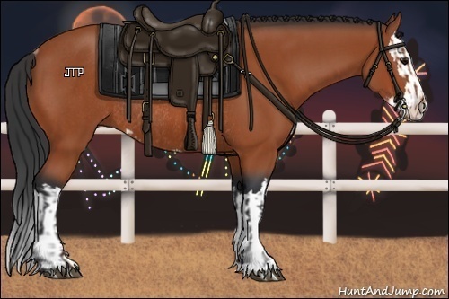 Horse Color:Bay Sabino Rabicano  and Bay Sabino Splash Rabicano 